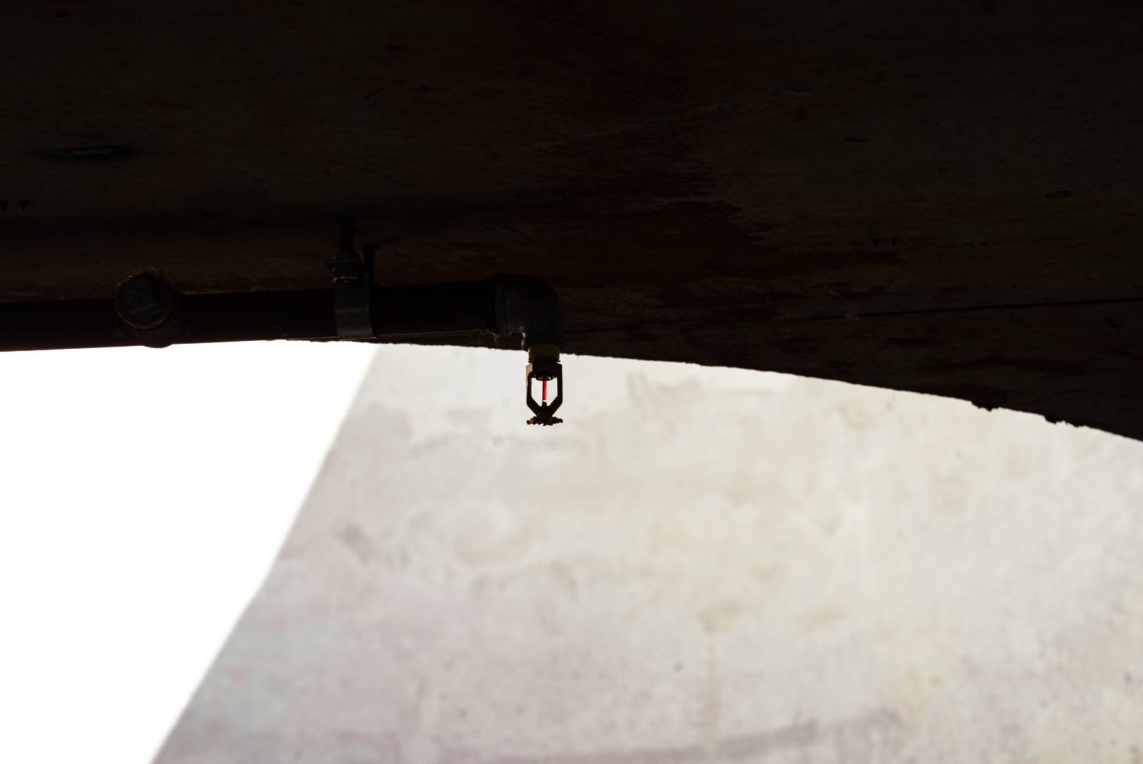 Sprinkler head silhouetted against daylight, Manly